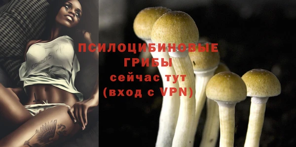 первитин Михайловск