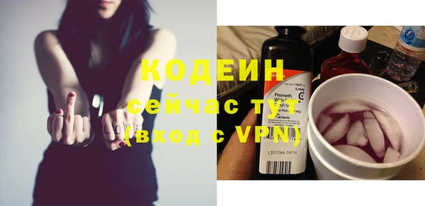 молекула духа Медвежьегорск