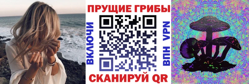 Псилоцибиновые грибы MAGIC MUSHROOMS Владивосток